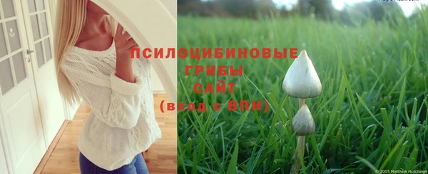 метамфетамин Калининец