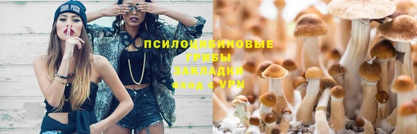 бошки Нея