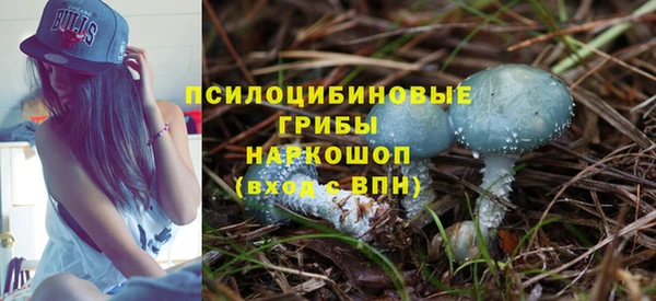 соль ск Нефтекумск