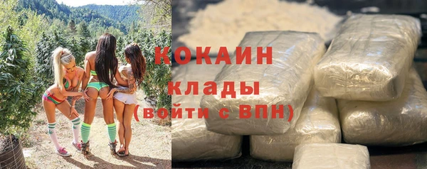 бошки Нея