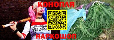 сатива Абакан