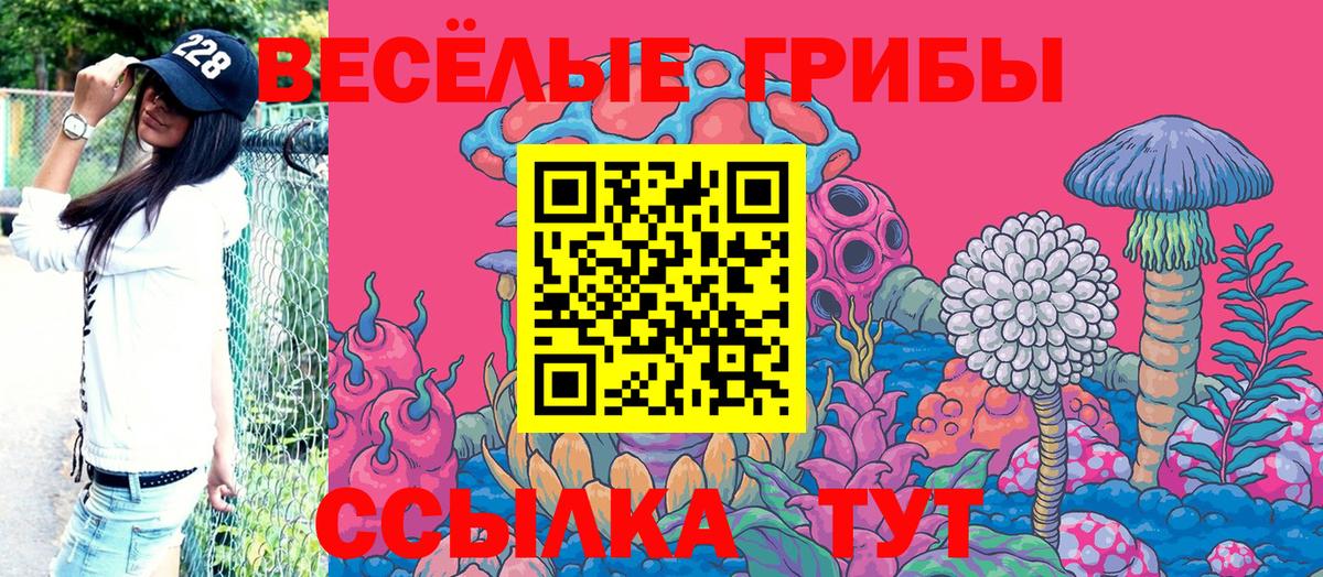Галлюциногенные грибы MAGIC MUSHROOMS  магазин    Вход с VPN  Абинск  Галлюциногенные грибы прущие грибы 